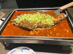 -炉鱼(亲橙里店)