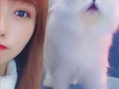 -极木²邸 人与宠物·互动社区