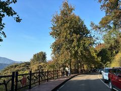 -广州市石门国家森林公园