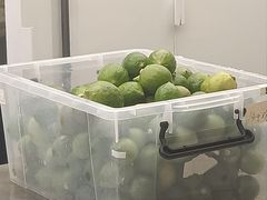 -introlemons(西单更新场·北京首店)