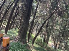 -七曲山风景区