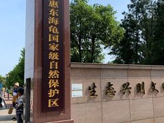 -广东惠东海龟国家级自然保护区