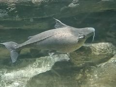 -江和美海洋公园