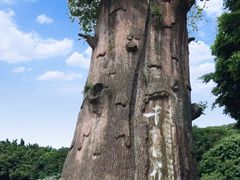 -青青世界