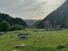 -狮子沟牧场