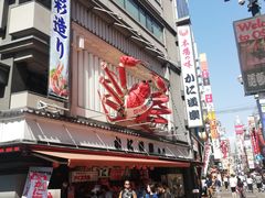 -蟹道乐(道顿堀本店)