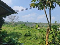 -侯臣咖啡文化村