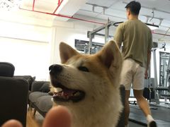 -YCHL Studios健身工作室(市二宫店)