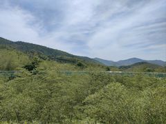 -陶祖圣境风景区