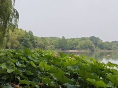 -江南大学(蠡湖校区)