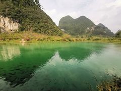 -靖西鹅泉风景区