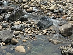 -石台牯牛降景区