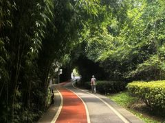 -花溪公园