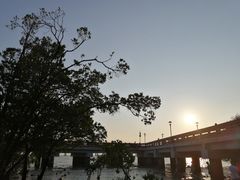 -宝安西湾红树林湿地公园