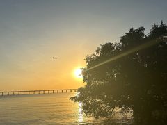 -宝安西湾红树林湿地公园