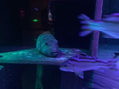 -沈阳海洋探索中心