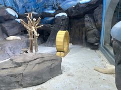 -海合安青岛极地海洋公园
