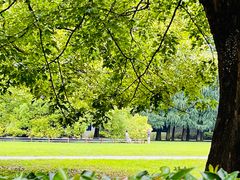 -上海共青森林公园