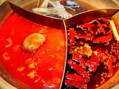 -Xiao Long Kan Hotpot Sydney 小龙坎老火锅