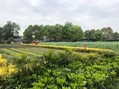 -洪湖家庭农场·团建·露营·会议