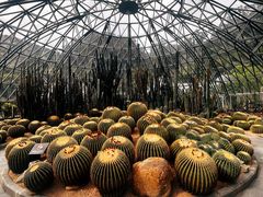 -深圳仙湖植物园