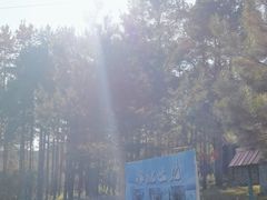 -玉泉威虎山森林公园