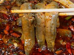 -情妹耙泥鳅·江湖川菜(科华店)