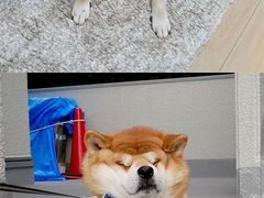 -鲁慈体检(历城店)