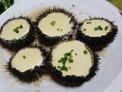 -蓝湾碧波·老字号·疍家非遗海上餐厅