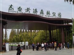 -黄海国家森林公园