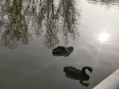 -石家庄市动物园