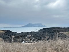 -涉地可支