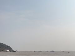 -渔寮风景区