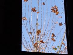 -上海孙中山故居纪念馆