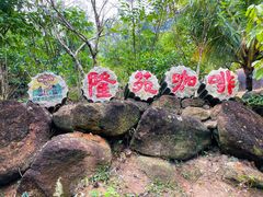 -兴隆隆苑咖啡庄园
