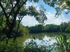 -西溪国家湿地公园