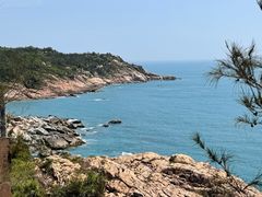 -广东惠东海龟国家级自然保护区