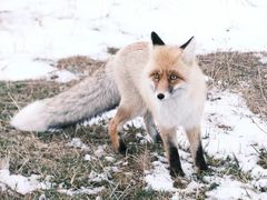 -华晨宝马铁西工厂