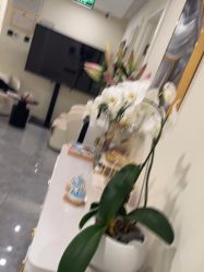 -海涛医疗美容·面部抗衰·注射美鼻