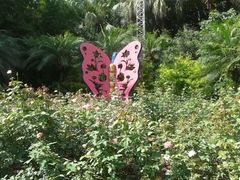 -人民公园(罗湖区)