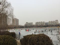 景点-紫竹院公园冰场