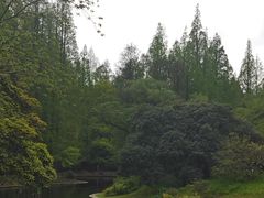 -上海共青森林公园