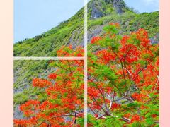 -日军最后司令部遗址