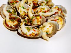 捞汁鸟贝-必点海鲜·鲅鱼水饺(鞍山西道店)