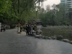 -莲湖公园