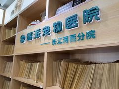 -瑞派长江宠物医院·猫科·外科·24小时夜护(谊城公寓分院)