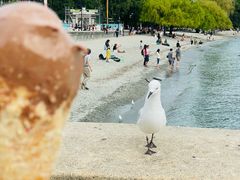 -Patagonia Chocolates(皇后镇店)