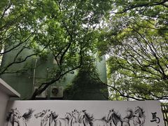 -广州市帽峰山景区