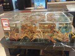 -渔家海鲜舫(宝湖路店)