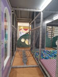 -meland club亲子乐园(重庆万象城店)